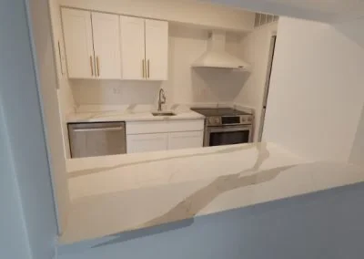 Professional House Building