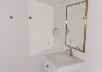 Professional House Building